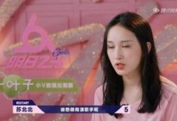 苏北北小杨最新爆料,揭秘娱乐圈最新热点事件