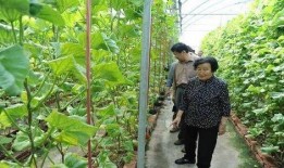 莱州吃瓜最新事件爆料是真的吗,最新爆料真相揭秘