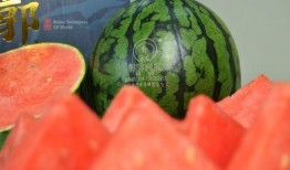 24年新瓜最新爆料,揭秘明星幕后真相