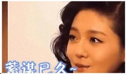 娱乐圈经典爆料事件,揭秘明星背后的秘密与真相