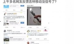吉林市网友最新爆料电话,神秘电话事件引发热议