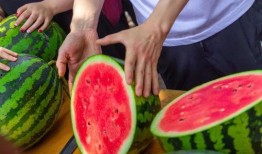 51今日黑瓜吃料爆料15,揭秘15号神秘爆料背后的真相