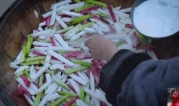 员工爆料酸菜怎么办呢视频,揭秘食品安全的背后真相