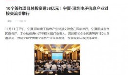 新闻爆料深圳最新消息,聚焦科技创新与城市发展新动态