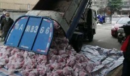 武汉环卫车爆料事件视频,揭露城市清洁背后的真相