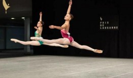 芭蕾在线观看,在线欣赏经典舞剧的便捷之旅