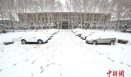 西安爆料大雪视频最新,街头巷尾银装素裹，最新实况视频曝光！”