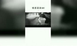 情感语录爆料视频大全集