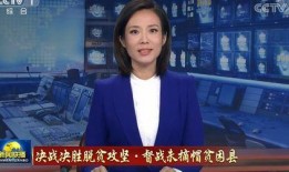 新闻联播女记者爆料,揭秘行业黑幕
