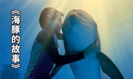 海豚的故事在线观看,海洋深处的友谊之旅
