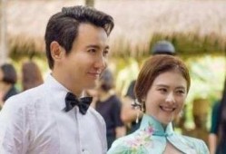 沈腾老婆爆料视频