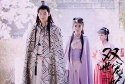 双世宠妃在线看观看,双世宠妃在线观看之旅