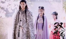 双世宠妃在线看观看,双世宠妃在线观看之旅