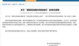 云南导游爆料网站大全最新,揭秘旅游行业背后的秘密