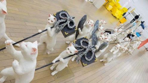 娱乐吃瓜君打底裤,揭秘打底裤界的时尚潮流与趣味故事