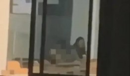 何家四房爆料事件视频在线观看,视频内容大起底