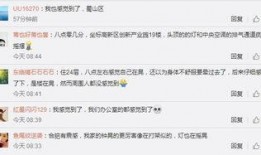 挪威回应爆料视频大全集,揭秘真相与争议背后的真相全记录