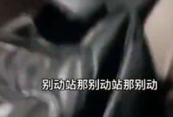 视频爆料男子被抓了,涉嫌违法男子被捕，真相即将揭晓