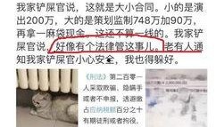 独家爆料逃税案例最新,独家爆料揭示企业避税黑幕