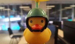 遇见小黄鸭最近爆料视频