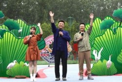 浙江医生爆料事件视频最新,揭露医疗系统内幕引发社会关注