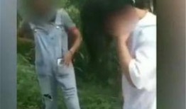 河南省女孩爆料事件最新,揭开校园霸凌背后的真相与反思