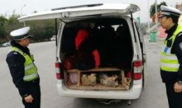 泉州面包车爆料视频曝光,揭秘背后惊人真相