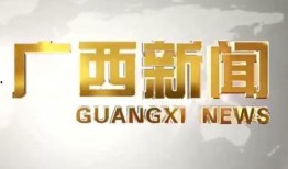 广西新闻爆料找谁,聚焦热点事件，揭秘幕后真相