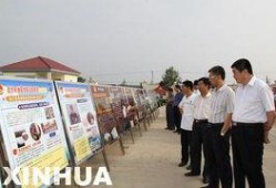 临沭县最新爆料新闻