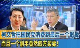国民党副手候选人爆料视频,内幕曝光，真相令人震惊！