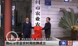 农业一哥新闻爆料视频,揭秘农业领域最新动态与热点事件