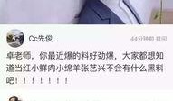 卓伟最新爆料在哪里看的,揭秘事件幕后真相，独家追踪报道