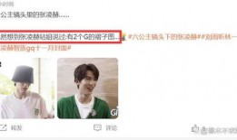 白鹿王鹤棣圈内人爆料,揭秘明星背后的真实故事