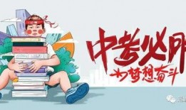 东方主播大爆料最新消息,揭秘娱乐圈幕后真相