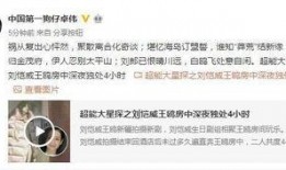 挪威回应爆料视频大全集,揭秘真相与争议背后的真相全记录