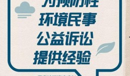 澎湃新闻爆料库,深度挖掘新闻背后的故事