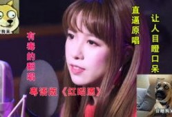 囡囡在线观看粤语,重温经典，感受粤语魅力