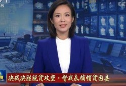 新闻联播女记者爆料,揭秘行业黑幕