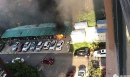 河南小区爆料视频最新,揭秘惊人真相！