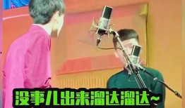 二哥老秦爆料视频播放全集,全集内容深度解析
