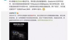 内鬼爆料对话大全视频,揭秘对话大全视频背后的惊人真相