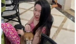 娱乐圈爆料杜江的女明星,神秘女明星引网友热议