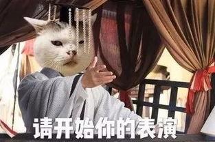娱乐圈老瓜新吃