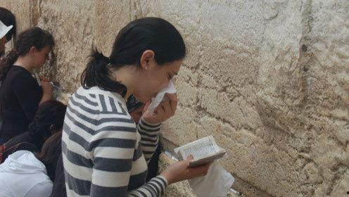 娱乐吃瓜君直播